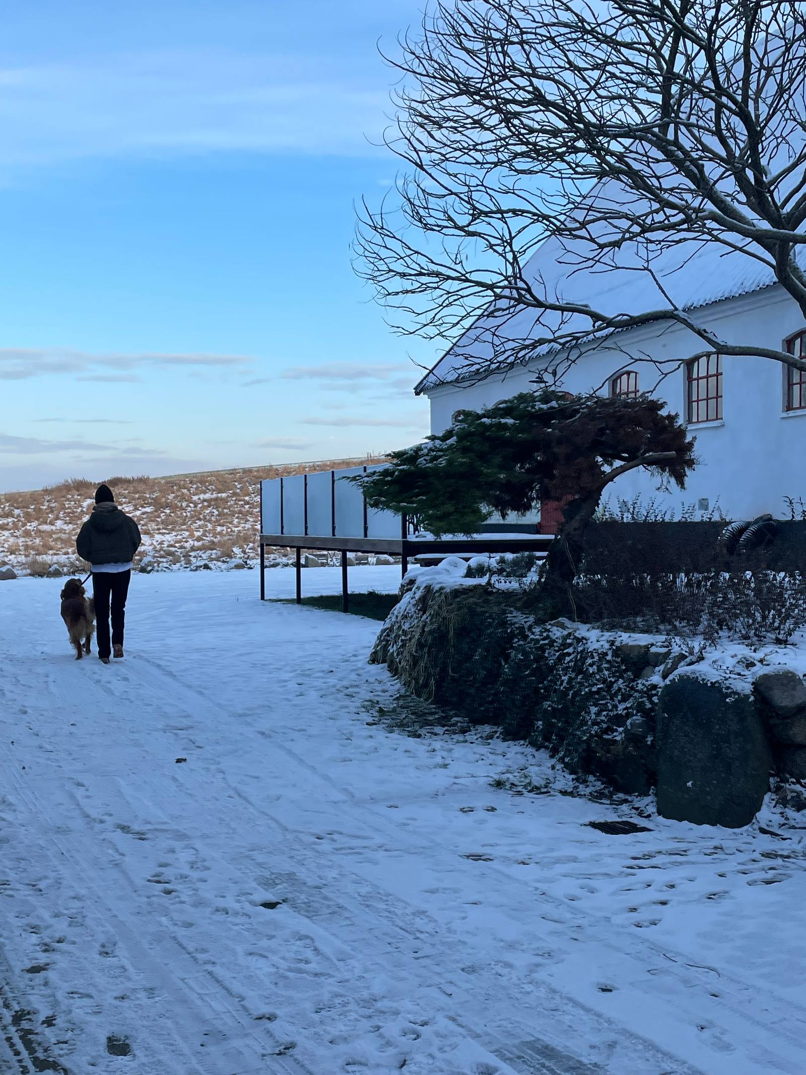 En person og en hund på en sneklædt vej forbi den hvide længe.